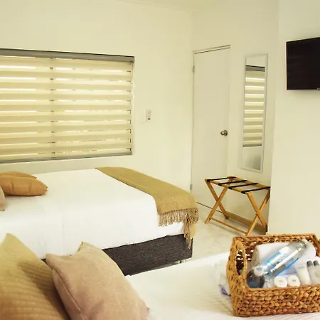 Hotel Mucura & 3*